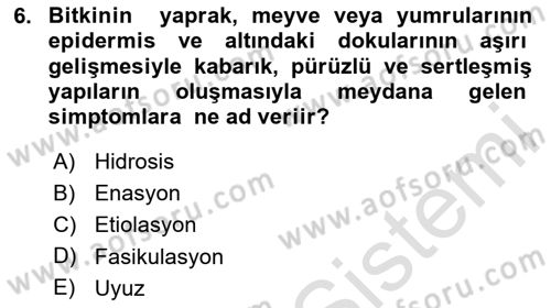 Fitopatoloji Dersi 2020 - 2021 Yılı Yaz Okulu Sınav Soruları 6. Soru