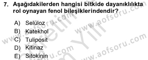 Fitopatoloji Dersi 2020 - 2021 Yılı Yaz Okulu Sınav Soruları 7. Soru