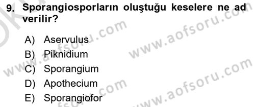 Fitopatoloji Dersi 2020 - 2021 Yılı Yaz Okulu Sınav Soruları 9. Soru