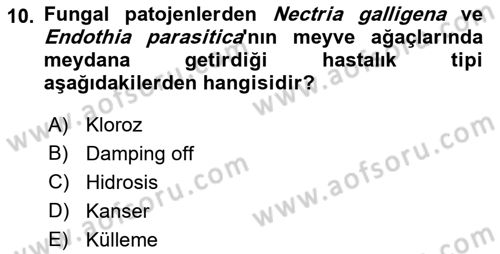 Fitopatoloji Dersi 2021 - 2022 Yılı (Vize) Ara Sınav Soruları 10. Soru