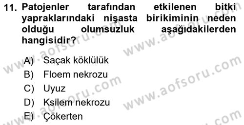 Fitopatoloji Dersi 2021 - 2022 Yılı (Vize) Ara Sınav Soruları 11. Soru