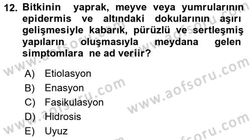Fitopatoloji Dersi 2021 - 2022 Yılı (Vize) Ara Sınav Soruları 12. Soru