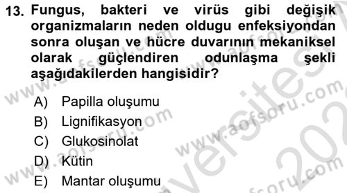 Fitopatoloji Dersi 2021 - 2022 Yılı (Vize) Ara Sınavı 13. Soru