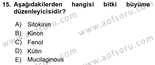 Fitopatoloji Dersi 2021 - 2022 Yılı (Vize) Ara Sınav Soruları 15. Soru
