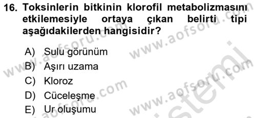 Fitopatoloji Dersi 2021 - 2022 Yılı (Vize) Ara Sınav Soruları 16. Soru