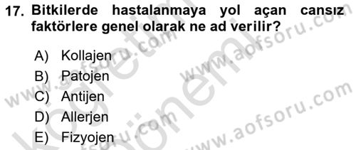Fitopatoloji Dersi 2021 - 2022 Yılı (Vize) Ara Sınav Soruları 17. Soru