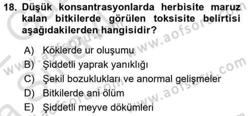 Fitopatoloji Dersi 2021 - 2022 Yılı (Vize) Ara Sınav Soruları 18. Soru