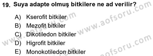 Fitopatoloji Dersi 2021 - 2022 Yılı (Vize) Ara Sınav Soruları 19. Soru