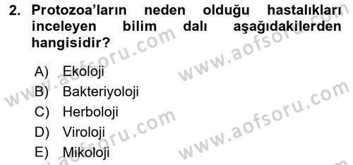 Fitopatoloji Dersi 2021 - 2022 Yılı (Vize) Ara Sınav Soruları 2. Soru