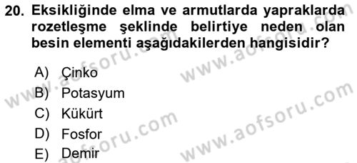 Fitopatoloji Dersi 2021 - 2022 Yılı (Vize) Ara Sınav Soruları 20. Soru