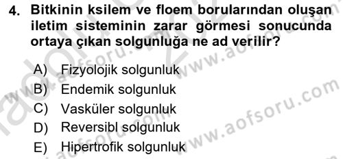 Fitopatoloji Dersi 2021 - 2022 Yılı (Vize) Ara Sınav Soruları 4. Soru