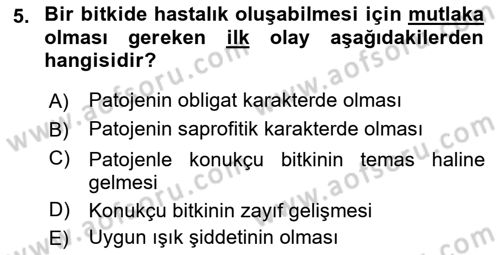 Fitopatoloji Dersi 2021 - 2022 Yılı (Vize) Ara Sınav Soruları 5. Soru