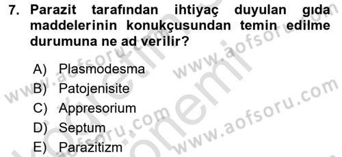 Fitopatoloji Dersi 2021 - 2022 Yılı (Vize) Ara Sınav Soruları 7. Soru