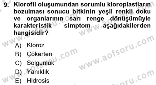 Fitopatoloji Dersi 2021 - 2022 Yılı (Vize) Ara Sınavı 9. Soru