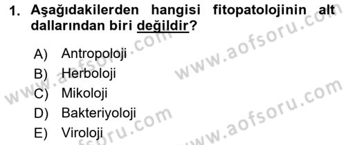 Fitopatoloji Dersi 2021 - 2022 Yılı (Final) Dönem Sonu Sınav Soruları 1. Soru