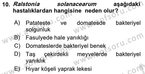 Fitopatoloji Dersi 2021 - 2022 Yılı (Final) Dönem Sonu Sınavı 10. Soru