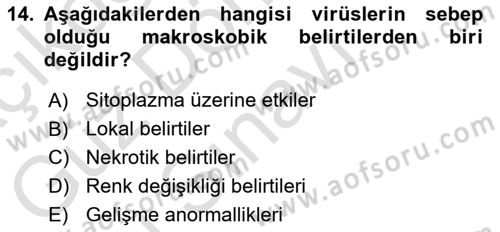 Fitopatoloji Dersi 2021 - 2022 Yılı (Final) Dönem Sonu Sınav Soruları 14. Soru