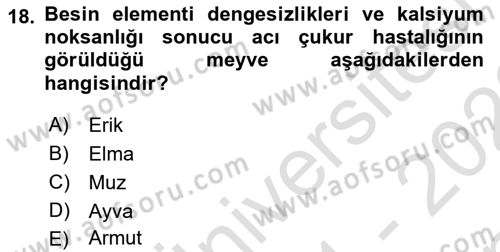 Fitopatoloji Dersi 2021 - 2022 Yılı (Final) Dönem Sonu Sınav Soruları 18. Soru
