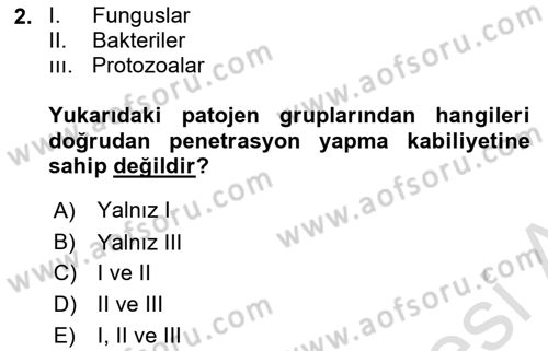 Fitopatoloji Dersi 2021 - 2022 Yılı (Final) Dönem Sonu Sınav Soruları 2. Soru