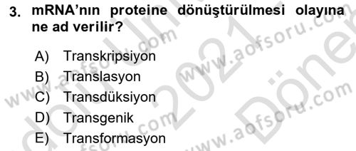 Fitopatoloji Dersi 2021 - 2022 Yılı (Final) Dönem Sonu Sınav Soruları 3. Soru