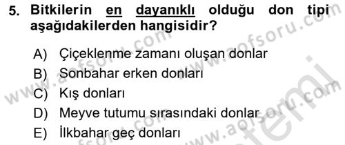 Fitopatoloji Dersi 2021 - 2022 Yılı (Final) Dönem Sonu Sınav Soruları 5. Soru
