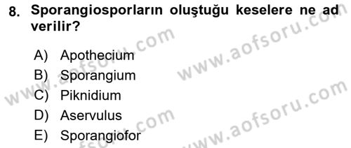 Fitopatoloji Dersi 2021 - 2022 Yılı (Final) Dönem Sonu Sınav Soruları 8. Soru