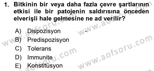 Fitopatoloji Dersi 2021 - 2022 Yılı Yaz Okulu Sınav Soruları 1. Soru