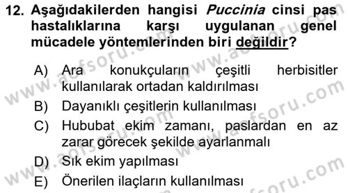 Fitopatoloji Dersi 2021 - 2022 Yılı Yaz Okulu Sınav Soruları 12. Soru