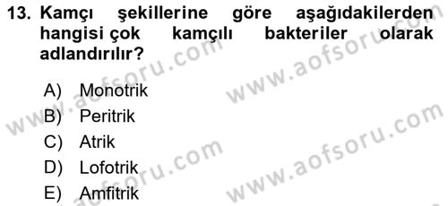 Fitopatoloji Dersi 2021 - 2022 Yılı Yaz Okulu Sınav Soruları 13. Soru