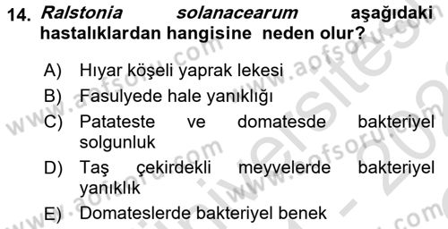 Fitopatoloji Dersi 2021 - 2022 Yılı Yaz Okulu Sınav Soruları 14. Soru