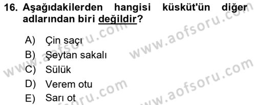 Fitopatoloji Dersi 2021 - 2022 Yılı Yaz Okulu Sınav Soruları 16. Soru