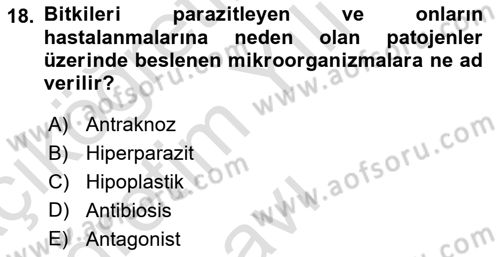 Fitopatoloji Dersi 2021 - 2022 Yılı Yaz Okulu Sınav Soruları 18. Soru