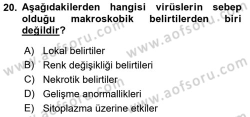 Fitopatoloji Dersi 2021 - 2022 Yılı Yaz Okulu Sınav Soruları 20. Soru