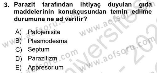 Fitopatoloji Dersi 2021 - 2022 Yılı Yaz Okulu Sınav Soruları 3. Soru