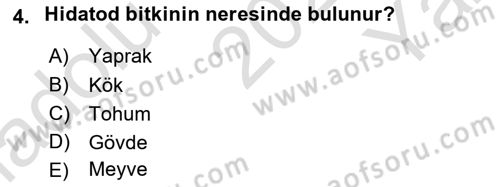 Fitopatoloji Dersi 2021 - 2022 Yılı Yaz Okulu Sınav Soruları 4. Soru