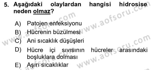 Fitopatoloji Dersi 2021 - 2022 Yılı Yaz Okulu Sınav Soruları 5. Soru
