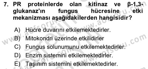Fitopatoloji Dersi 2021 - 2022 Yılı Yaz Okulu Sınav Soruları 7. Soru