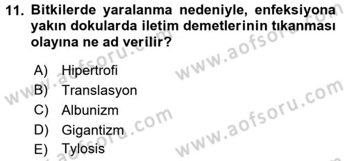 Fitopatoloji Dersi 2022 - 2023 Yılı (Vize) Ara Sınav Soruları 11. Soru
