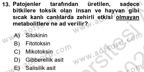 Fitopatoloji Dersi 2022 - 2023 Yılı (Vize) Ara Sınav Soruları 13. Soru