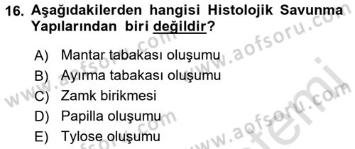 Fitopatoloji Dersi 2022 - 2023 Yılı (Vize) Ara Sınav Soruları 16. Soru