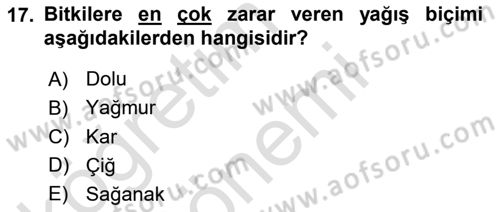 Fitopatoloji Dersi 2022 - 2023 Yılı (Vize) Ara Sınav Soruları 17. Soru