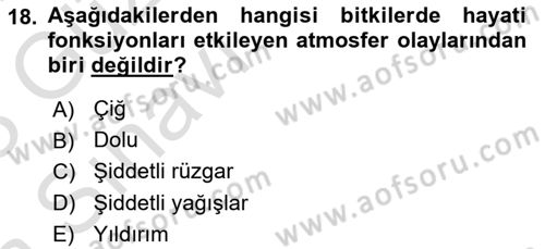 Fitopatoloji Dersi 2022 - 2023 Yılı (Vize) Ara Sınav Soruları 18. Soru
