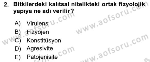 Fitopatoloji Dersi 2022 - 2023 Yılı (Vize) Ara Sınav Soruları 2. Soru