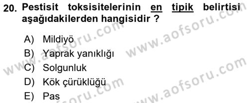 Fitopatoloji Dersi 2022 - 2023 Yılı (Vize) Ara Sınav Soruları 20. Soru