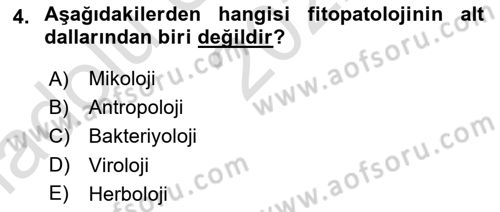Fitopatoloji Dersi 2022 - 2023 Yılı (Vize) Ara Sınav Soruları 4. Soru