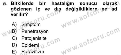 Fitopatoloji Dersi 2022 - 2023 Yılı (Vize) Ara Sınav Soruları 5. Soru