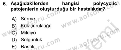 Fitopatoloji Dersi 2022 - 2023 Yılı (Vize) Ara Sınav Soruları 6. Soru