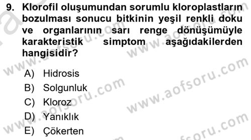 Fitopatoloji Dersi 2022 - 2023 Yılı (Vize) Ara Sınav Soruları 9. Soru