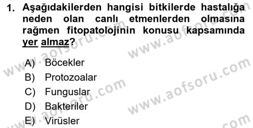 Fitopatoloji Dersi 2022 - 2023 Yılı (Final) Dönem Sonu Sınav Soruları 1. Soru