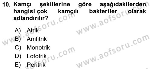 Fitopatoloji Dersi 2022 - 2023 Yılı (Final) Dönem Sonu Sınav Soruları 10. Soru